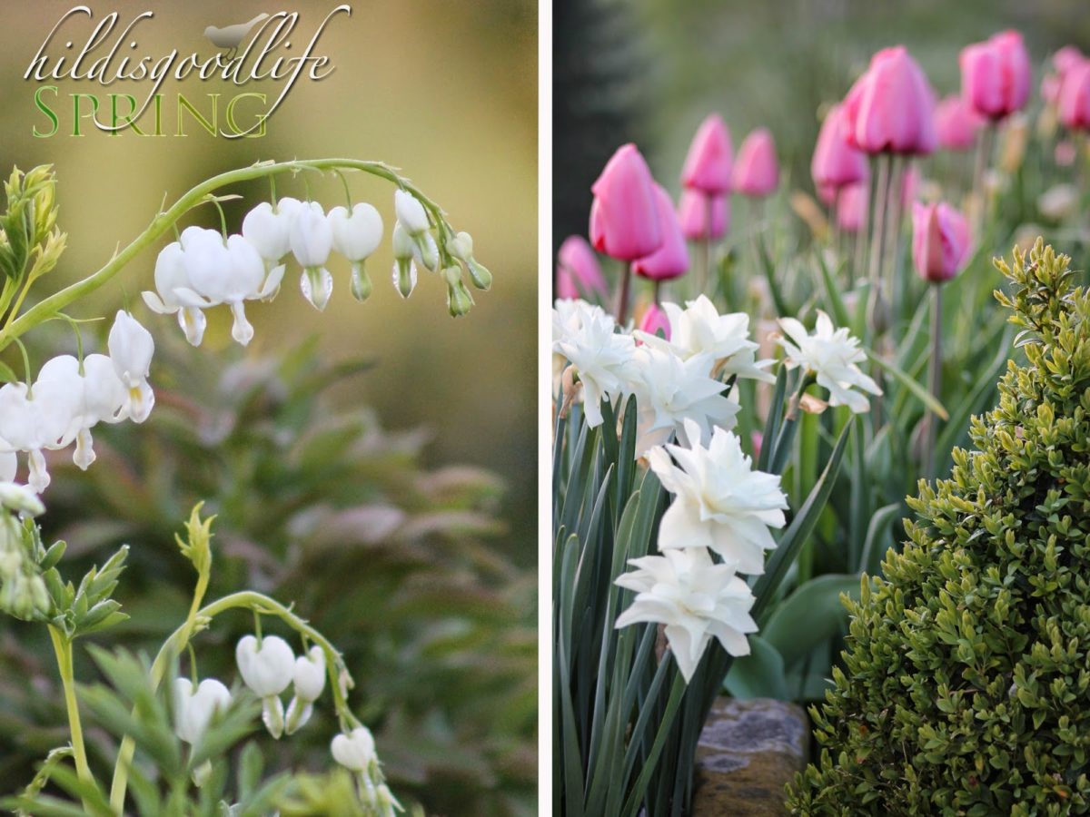 Spring, the sweet Spring, Hildisgoodlife